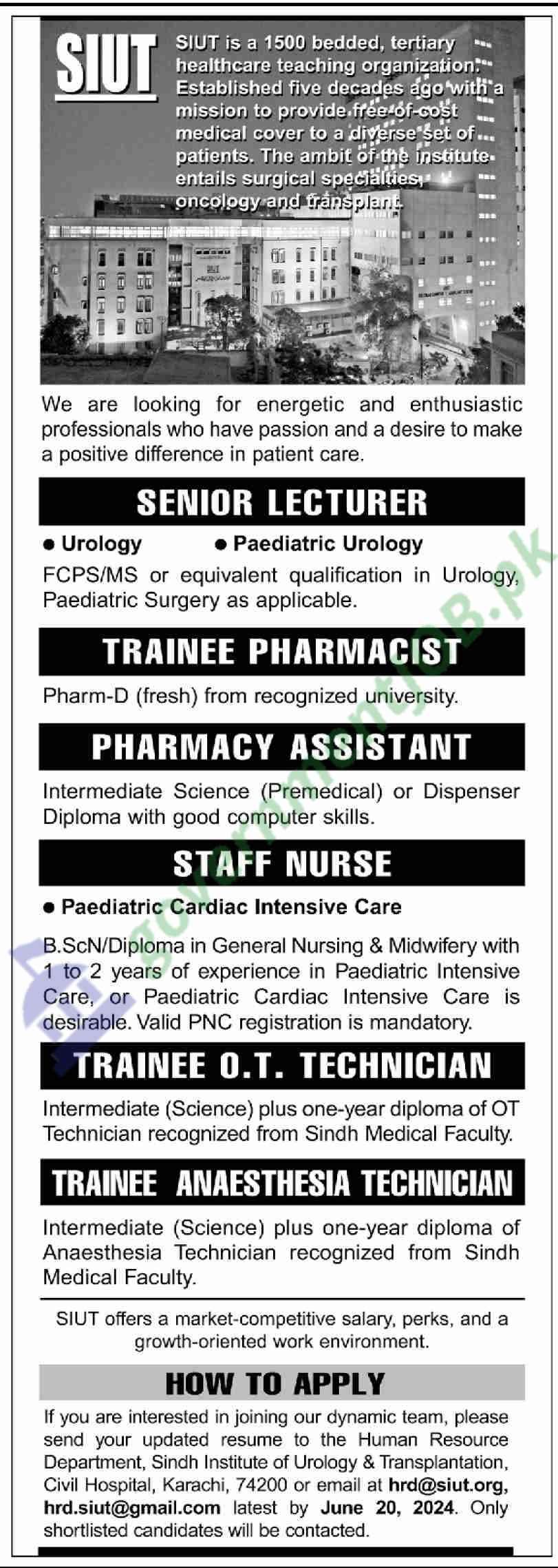 Sindh Institute Of Urology And Transplantation Jobs 2024