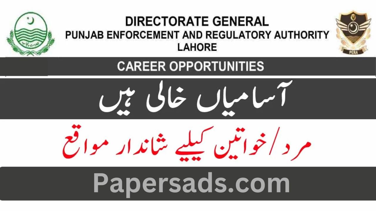 Punjab Enforcement and Regulatory Authority Jobs 2025