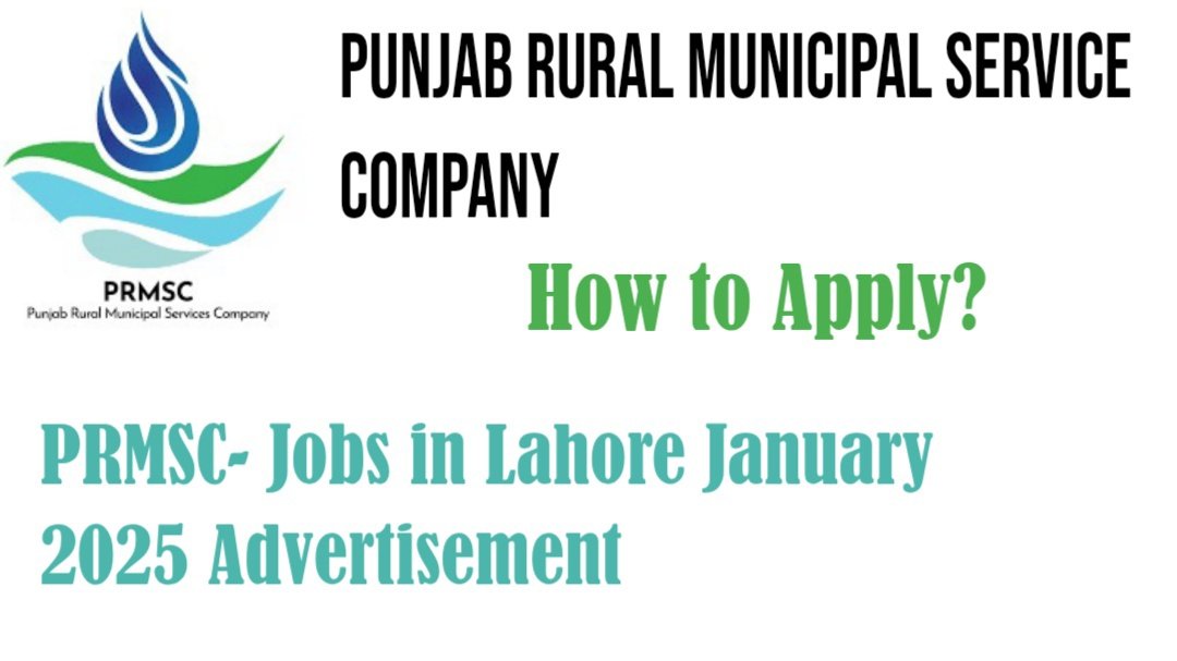 Punjab Rural Municipal Service Company Jobs in Lahore January 2025 Advertisement