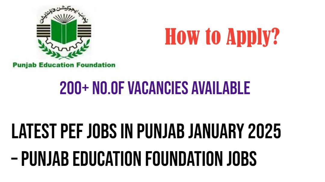 Latest PEF Jobs in Punjab January 2025 – Punjab Education Foundation Jobs